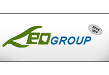 Leo Group